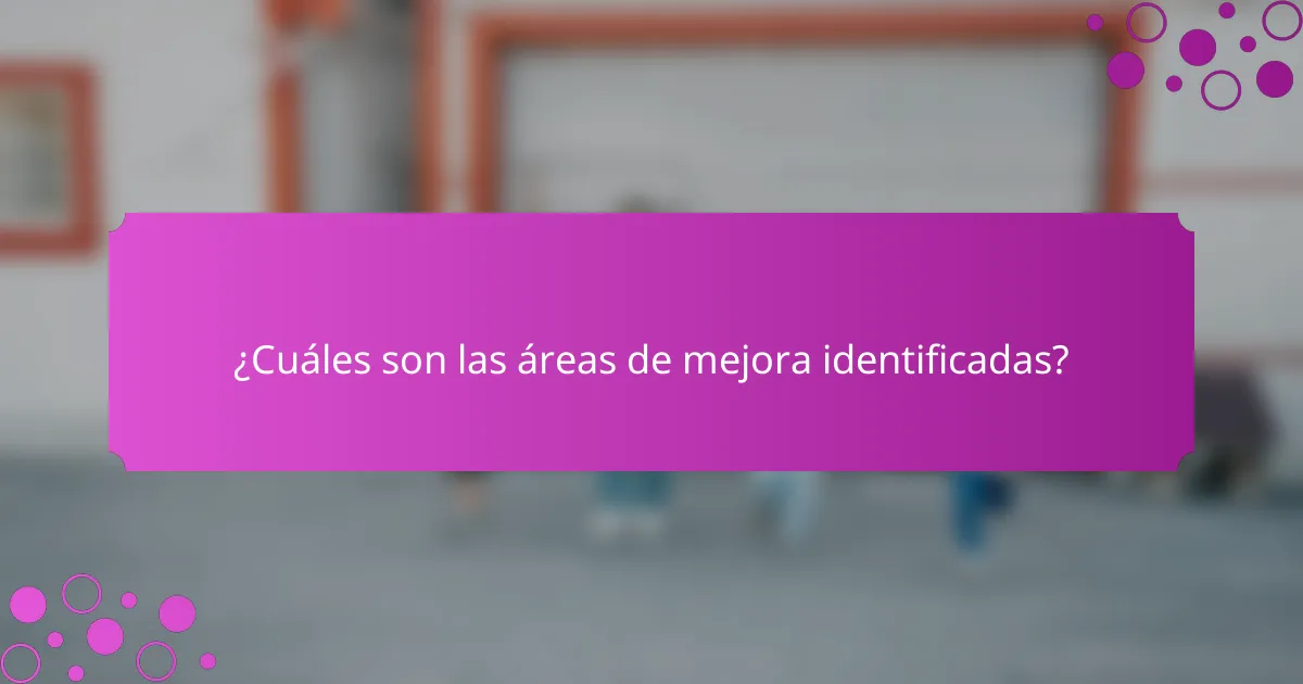 ¿Cuáles son las áreas de mejora identificadas?