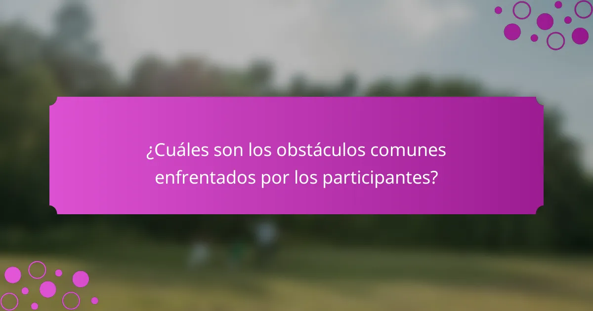 ¿Cuáles son los obstáculos comunes enfrentados por los participantes?