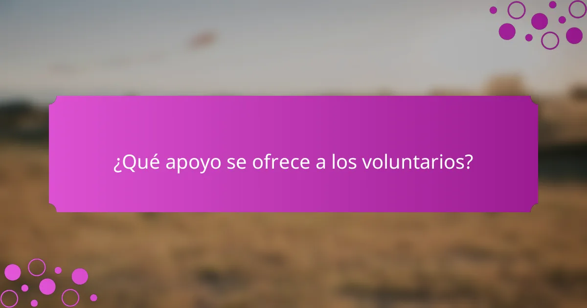 ¿Qué apoyo se ofrece a los voluntarios?